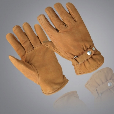 Winter & Dressing  - WD-6004