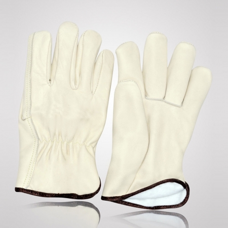 Winter & Dressing  - WD-6015