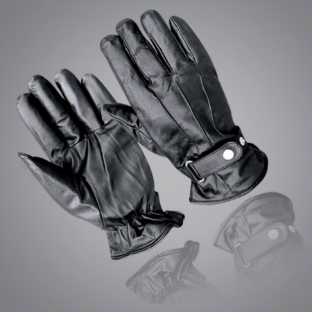 Winter & Dressing  - WD-6010