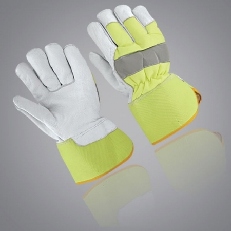 Winter & Dressing  - WD-6005