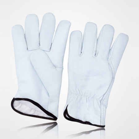 Winter & Dressing  - WD-6018